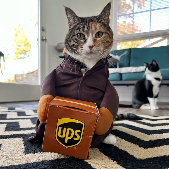 chewy Cat Cat Ups Driver Costume Poshmark